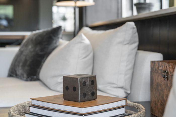 A woven tray with books and a decorative die sits on a modern sofa with white and gray pillows.