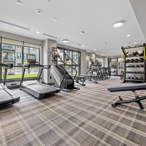 Modern gym with treadmills, ellipticals, stair climber, weight racks, and bench.